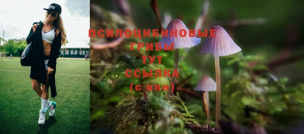 шишки Алексеевка
