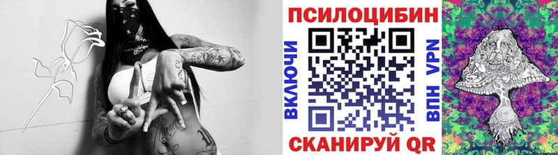 наркошоп  ссылка на мегу рабочий сайт  Псилоцибиновые грибы мухоморы  Михайловск 